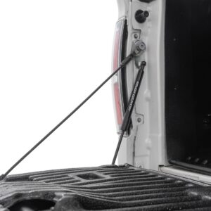 73214 - Rough Country Tailgate Assist - Fits Ford F-150 2WD/4WD 2004-2014